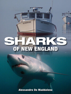 cover image of Sharks of New England